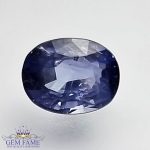 Blue Sapphire 1.46ct Natural Gemstone Ceylon