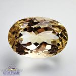 Citrine Quartz 23.94ct Natural Gemstone Brazil