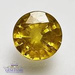 Yellow Sapphire 1.51ct Natural Gemstone Thailand