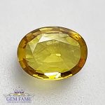 Yellow Sapphire 0.74ct Natural Gemstone Thailand