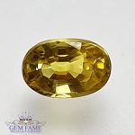 Yellow Sapphire 0.86ct Natural Gemstone Thailand