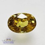 Yellow Sapphire 0.75ct Natural Gemstone Thailand