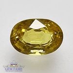 Yellow Sapphire 0.76ct Natural Gemstone Thailand
