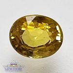 Yellow Sapphire 0.63ct Natural Gemstone Thailand
