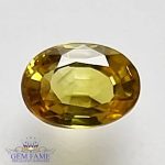 Yellow Sapphire 0.64ct Natural Gemstone Thailand