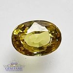 Yellow Sapphire 0.79ct Natural Gemstone Thailand