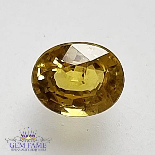 Yellow Sapphire 0.58ct Natural Gemstone Thailand