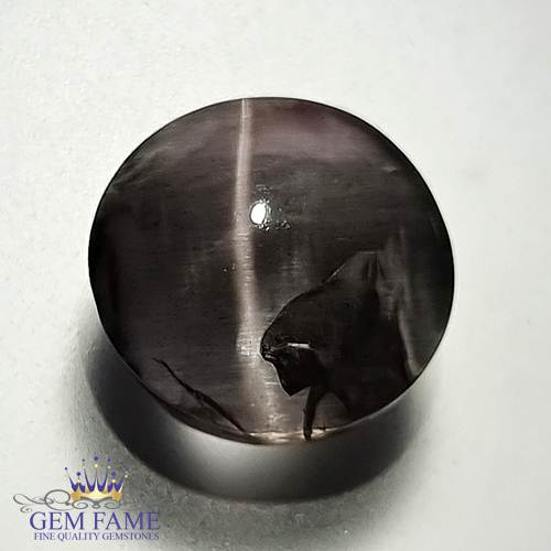 Sillimanite Cat's Eye 7.13ct Rare Natural Gemstone