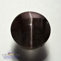 Sillimanite Cat's Eye 6.19ct Rare Natural Gemstone