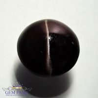 Sillimanite Cat's Eye 10.54ct Rare Natural Gemstone