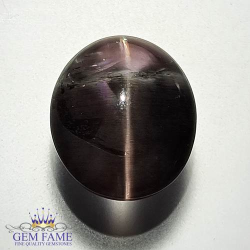 Sillimanite Cat's Eye 13.09ct Rare Natural Gemstone