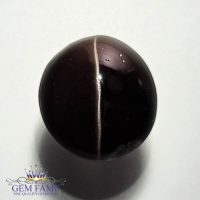 Sillimanite Cat's Eye 11.81ct Rare Natural Gemstone