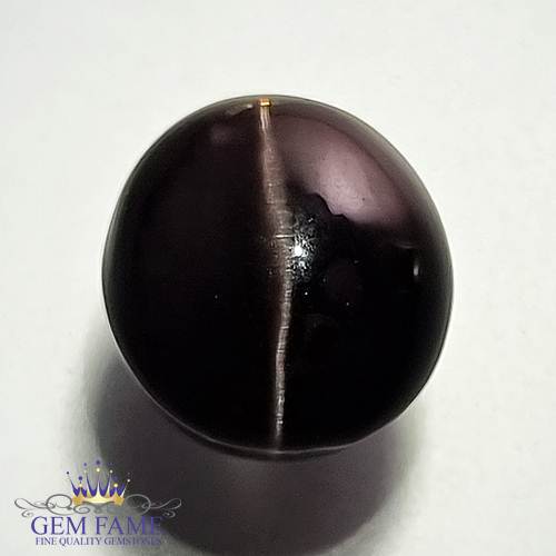 Sillimanite Cat's Eye 9.67ct Rare Natural Gemstone