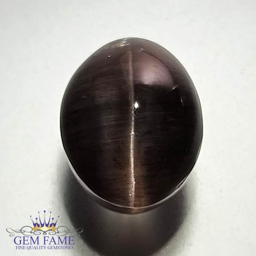 Sillimanite Cat's Eye 8.76ct Rare Natural Gemstone