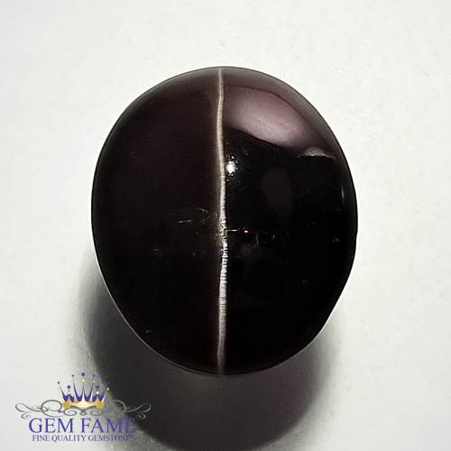 Sillimanite Cat's Eye 10.84ct Rare Natural Gemstone