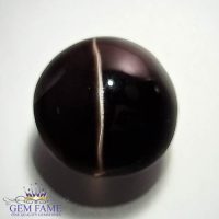 Sillimanite Cat's Eye 19.30ct Rare Natural Gemstone