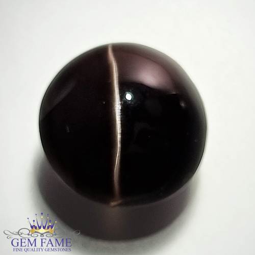 Sillimanite Cat's Eye 19.30ct Rare Natural Gemstone