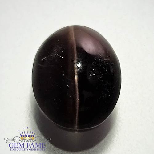 Sillimanite Cat's Eye 9.48ct Rare Natural Gemstone