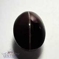 Sillimanite Cat's Eye 9.45ct Rare Natural Gemstone