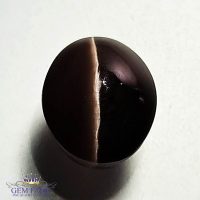 Sillimanite Cat's Eye 3.89ct Rare Natural Gemstone