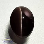Sillimanite Cat's Eye 2.43ct Rare Natural Gemstone