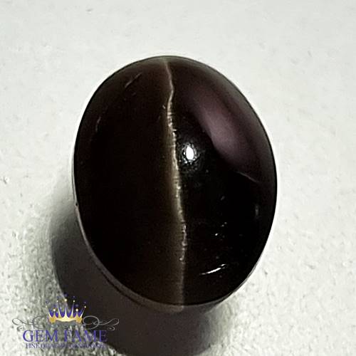 Sillimanite Cat's Eye 2.75ct Rare Natural Gemstone