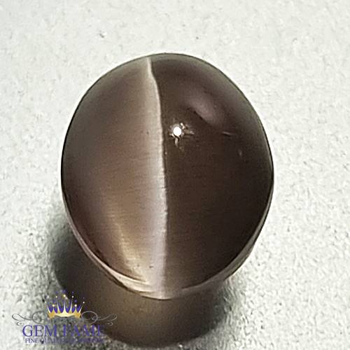 Sillimanite Cat's Eye 2.47ct Rare Natural Gemstone