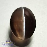 Sillimanite Cat's Eye 2.47ct Rare Natural Gemstone