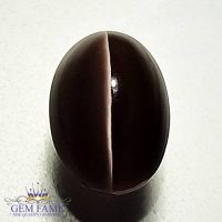 Sillimanite Cat's Eye 3.20ct Natural Gemstone