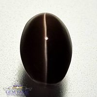 Sillimanite Cat's Eye 3.22ct Natural Gemstone