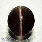 Sillimanite Cat's Eye 3.24ct Natural Gemstone