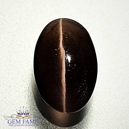 Sillimanite Cat's Eye 2.50ct Natural Gemstone