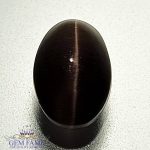 Sillimanite Cat's Eye 3.31ct Natural Gemstone