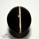 Sillimanite Cat's Eye 3.68ct Natural Gemstone