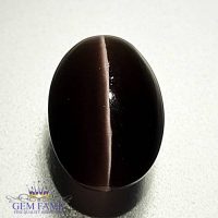 Sillimanite Cat's Eye 3.80ct Natural Gemstone