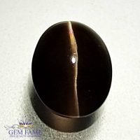 Sillimanite Cat's Eye 2.48ct Natural Gemstone