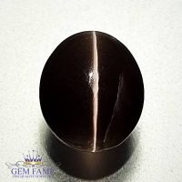 Sillimanite Cat's Eye 2.94ct Natural Gemstone