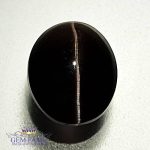 Sillimanite Cat's Eye 3.34ct Natural Gemstone