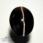 Sillimanite Cat's Eye 2.62ct Rare Natural Gemstone