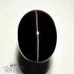 Sillimanite Cat's Eye 3.35ct Natural Gemstone