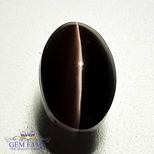 Sillimanite Cat's Eye 3.39ct Natural Gemstone