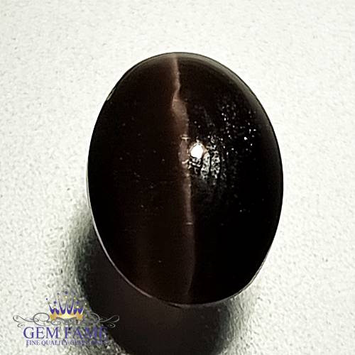 Sillimanite Cat's Eye 2.91ct Natural Gemstone