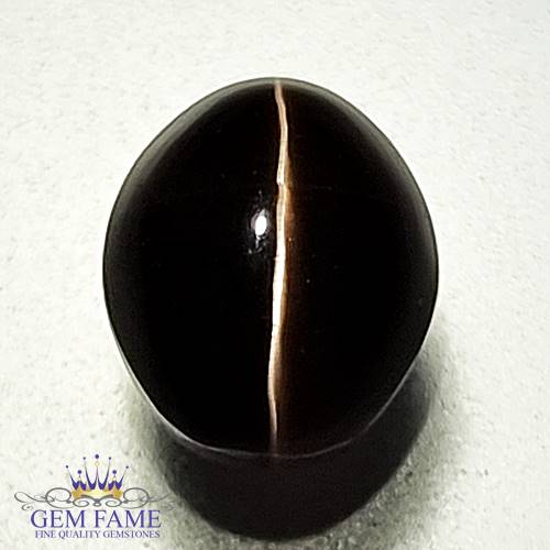 Sillimanite Cat's Eye 2.73ct Natural Gemstone