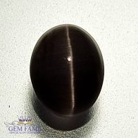 Sillimanite Cat's Eye 2.58ct Natural Gemstone