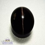 Sillimanite Cat's Eye 2.84ct Natural Gemstone