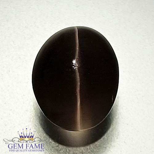 Sillimanite Cat's Eye 2.95ct Natural Gemstone