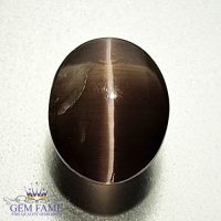 Sillimanite Cat's Eye 2.90ct Natural Gemstone