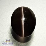 Sillimanite Cat's Eye 2.26ct Natural Gemstone