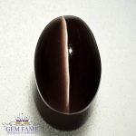 Sillimanite Cat's Eye 3.09ct Natural Gemstone