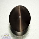 Sillimanite Cat's Eye 2.88ct Natural Gemstone